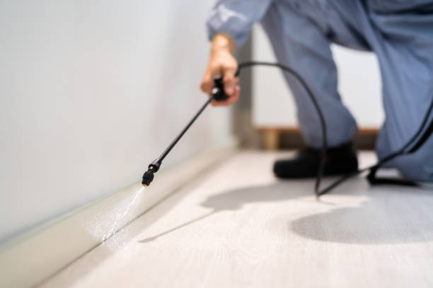 Licensed Termite Control service in Oxford, MS - Nex Pest Control