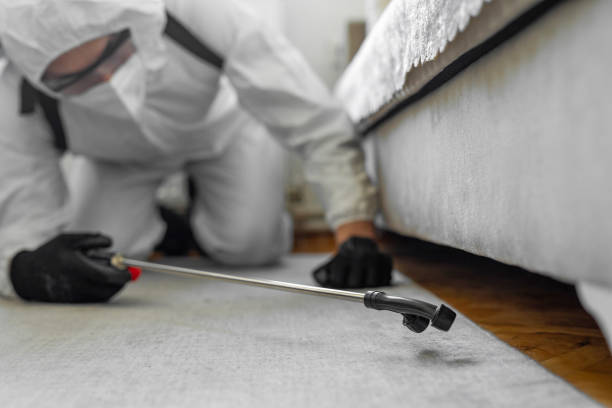 Professional Termite Control technician working in Oxford, MS