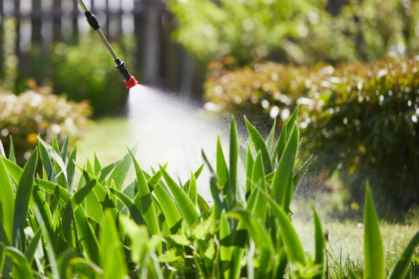 24/7 Emergency Termite Control experts in Oxford, MS