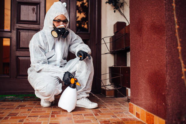 Reliable Termite Control contractor in Oxford, MS by Nex Pest Control